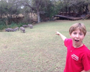 Pointing out warthogs on the Ngala lodge grounds.